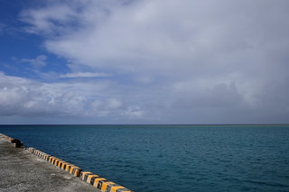 _z503356