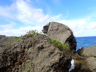 P8310030