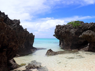 P8310046_2