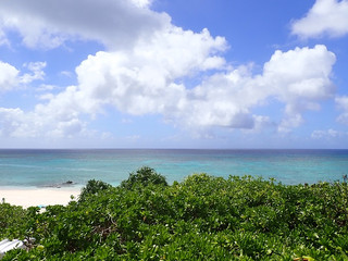 P9020049 P9020049
