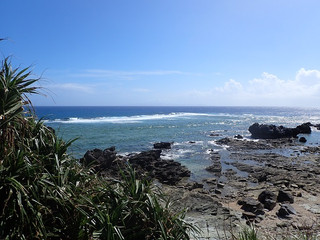 P9020054 P9020054