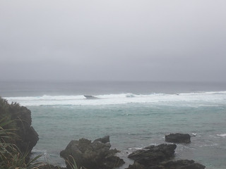 P9030062