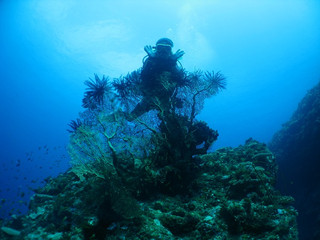 Img_4650 Img_4650