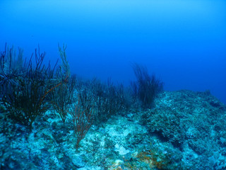 Img_5266 Img_5266