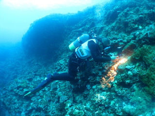 Img_5304 Img_5304