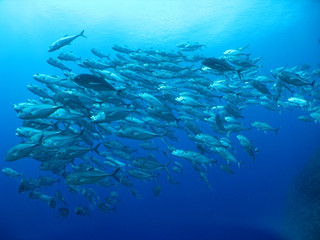 Img_5328 Img_5328