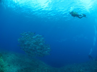 Img_5364 Img_5364