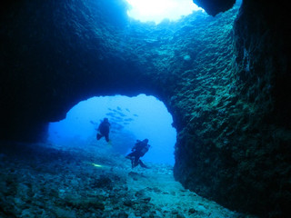 Img_5782 Img_5782