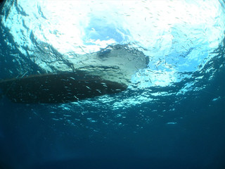 Img_5924 Img_5924