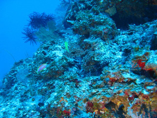 Img_5931 Img_5931