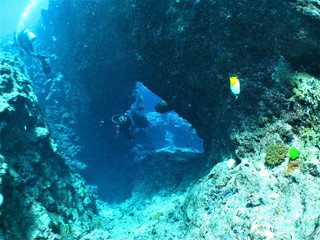 Img_6277 Img_6277