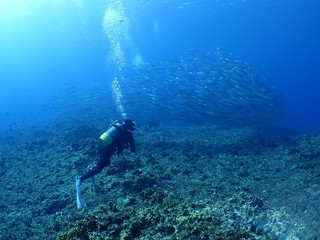 _a050016 _a050016