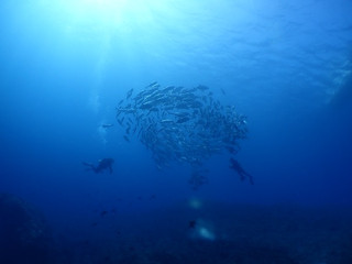 _a070081 _a070081