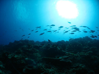 Img_6412 Img_6412
