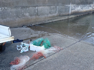 Pa090005 Pa090005