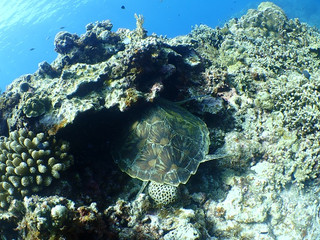 _a100009 _a100009