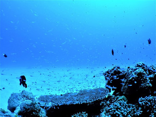 _a100014_2 _a100014_2