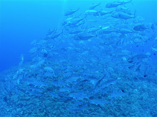_a100023 _a100023