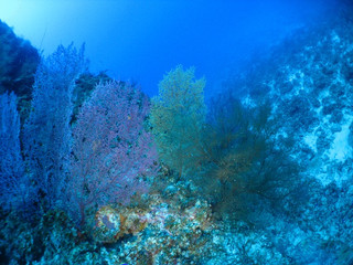Img_6494 Img_6494