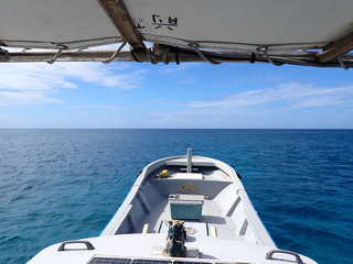 Pa130006