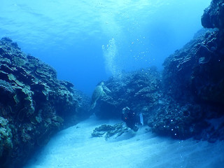 _a170008