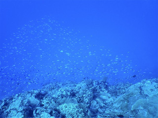_a190010 _a190010