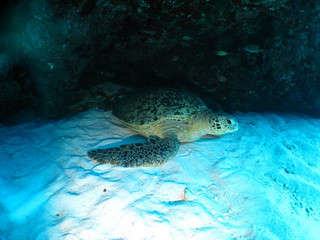 Img_0119 Img_0119