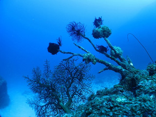 Img_0220 Img_0220