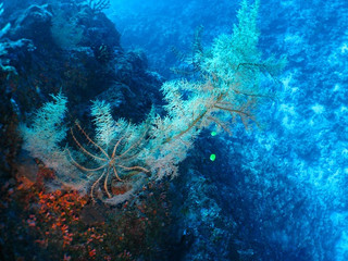 Img_0226 Img_0226