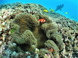 Img_0245 Img_0245