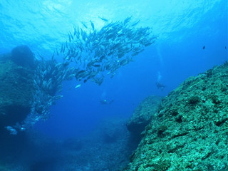 Img_0285 Img_0285