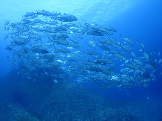 _a310058 _a310058