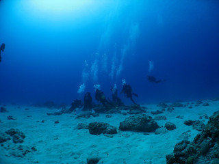 Img_0514 Img_0514