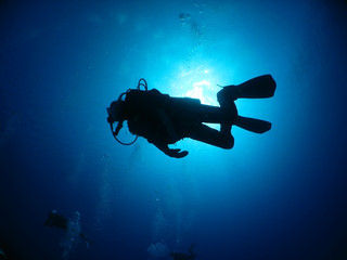 Img_0518 Img_0518